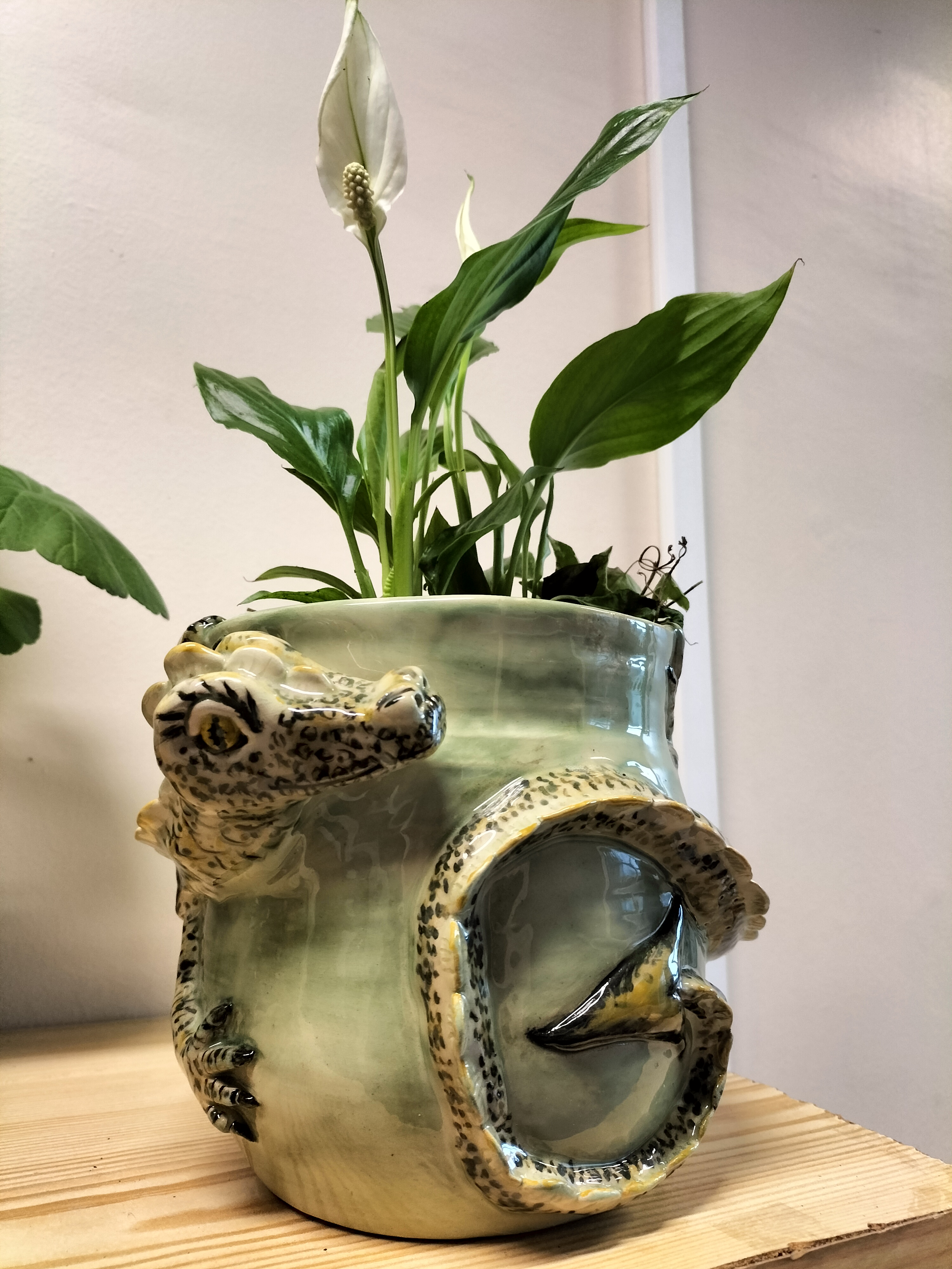 Cedryc dragon pot