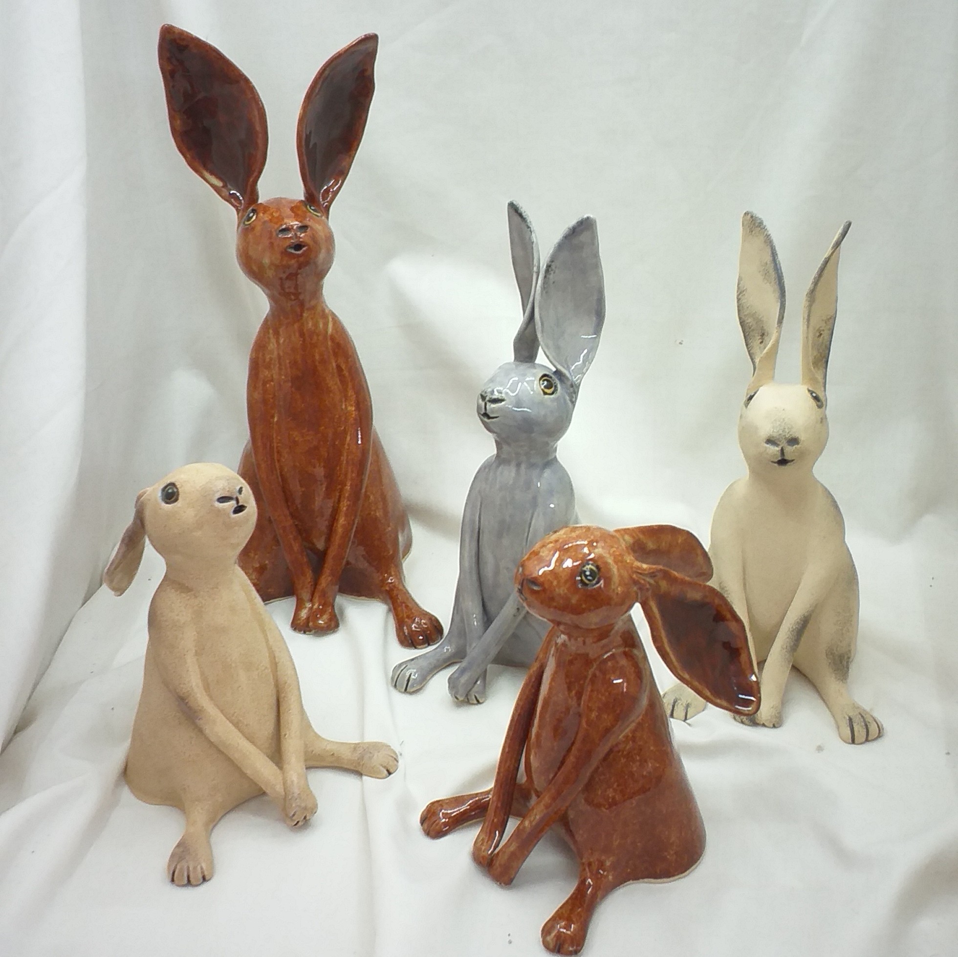 Ysgyfarnogod/Hares of all shapes and sizes!