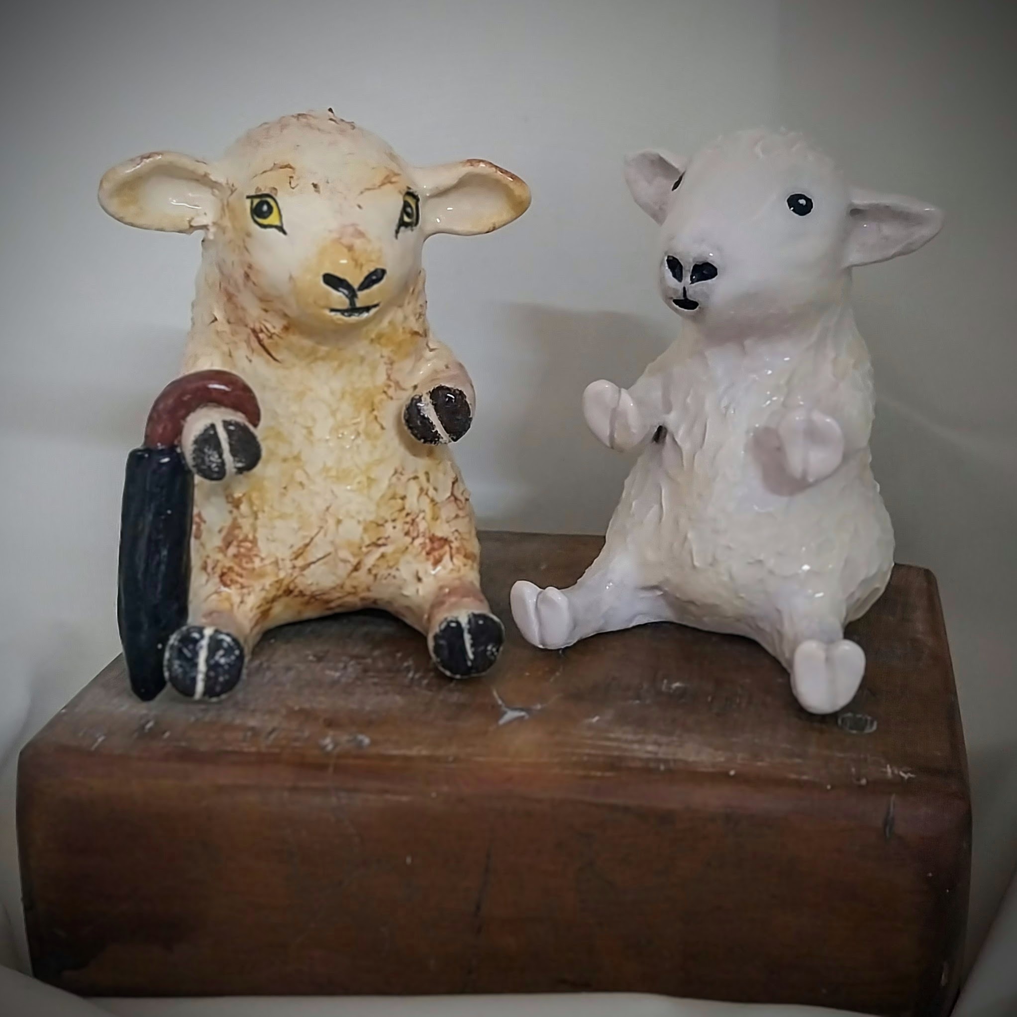 Dafad/sheep