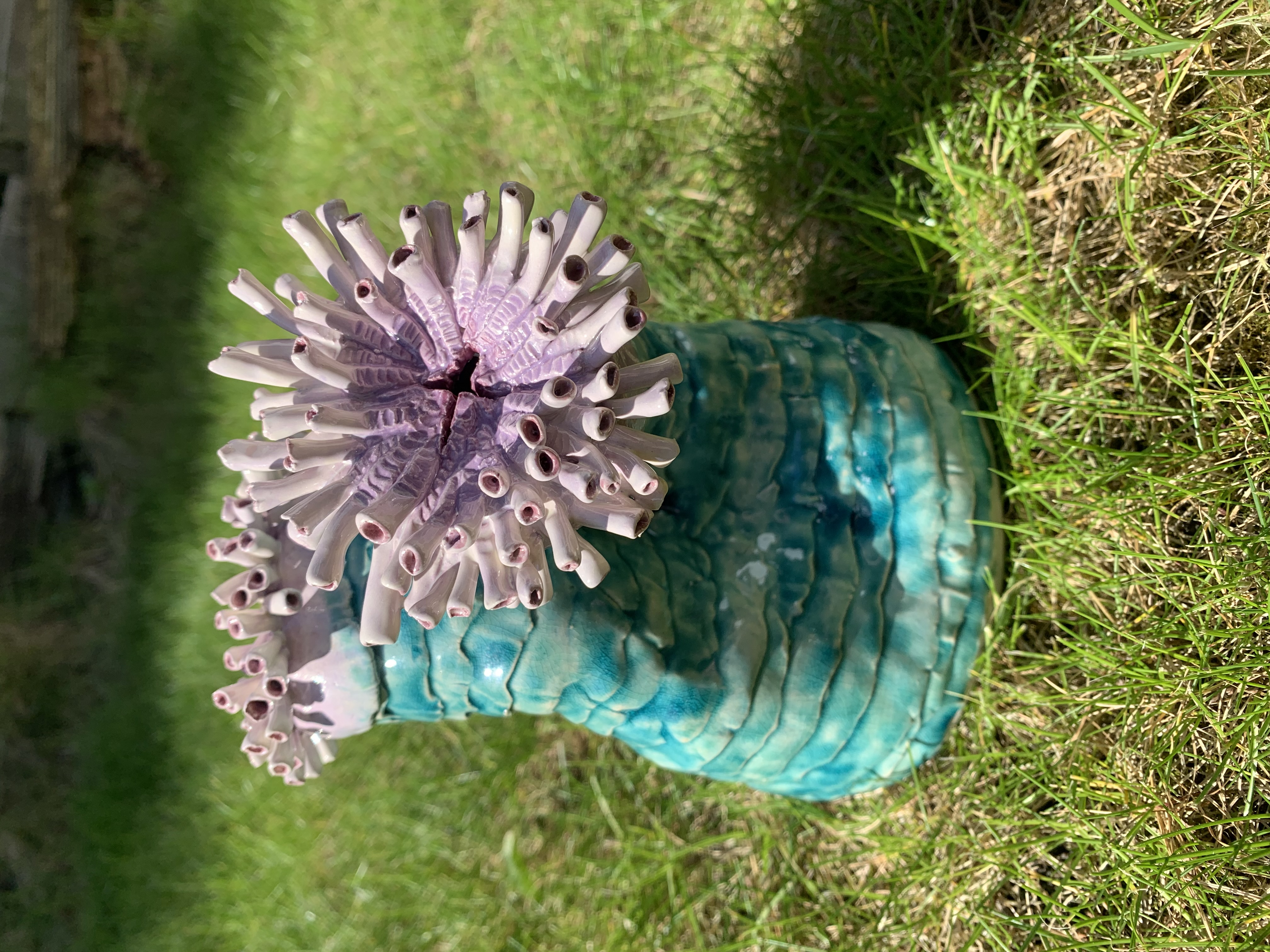 Anemone 2
