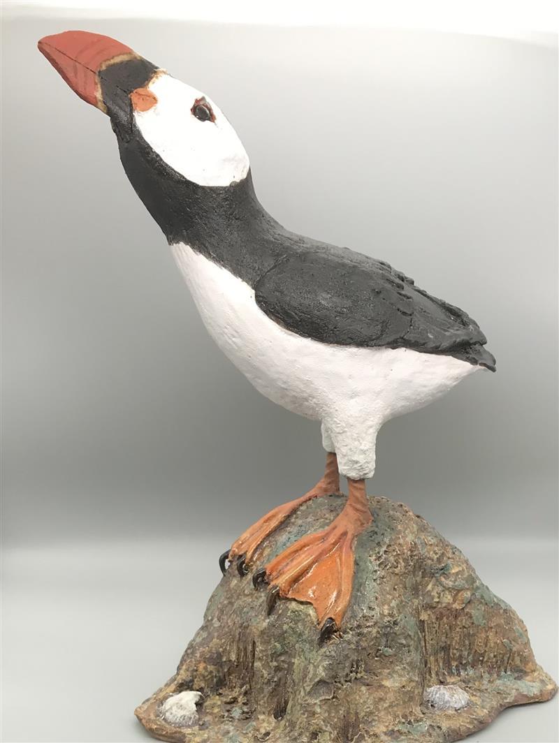 Haughty puffin on a rock