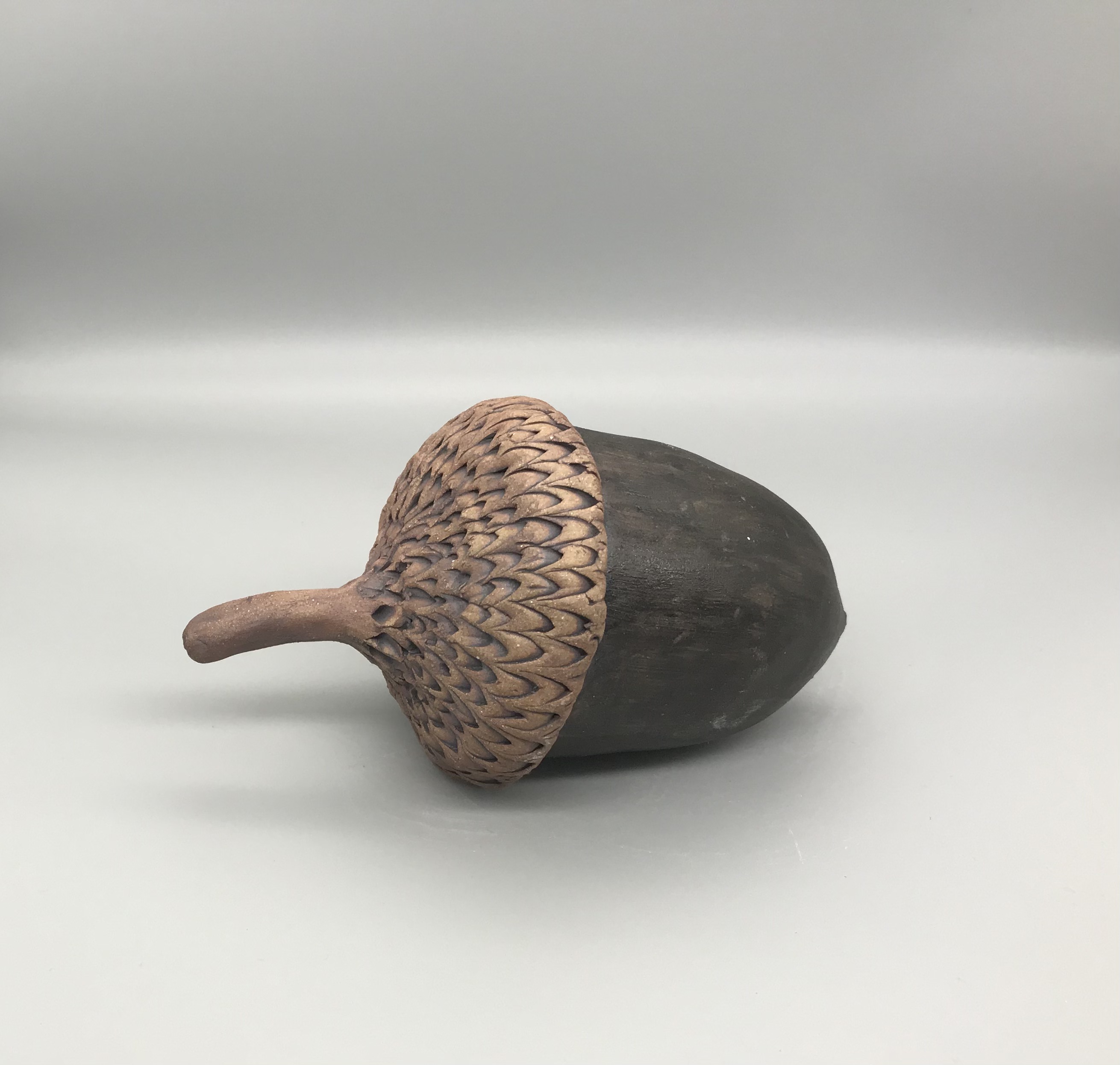 Acorn