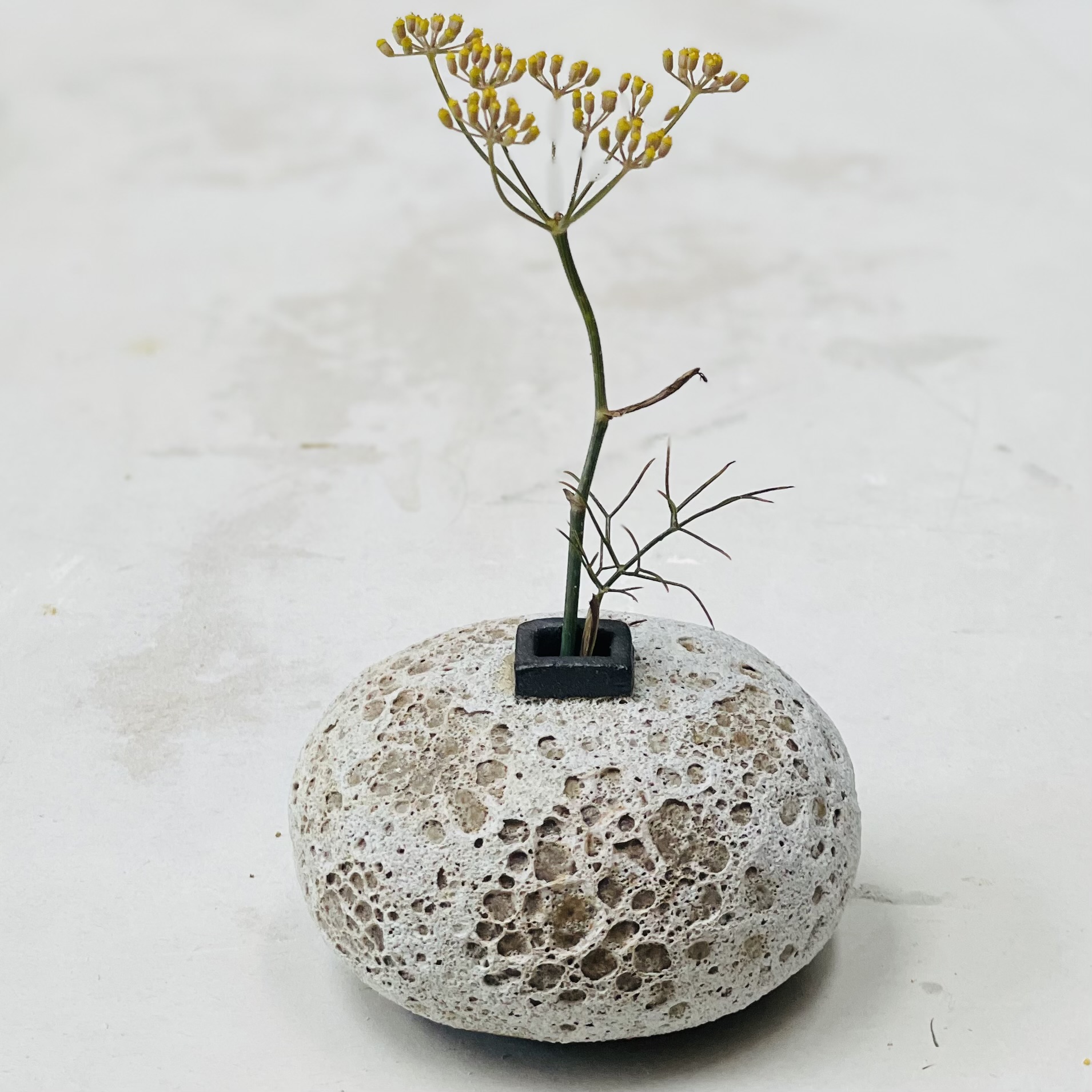 Pebble pot ... black clay with white lava glaze